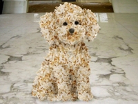 worth1000 Popcorn Dog